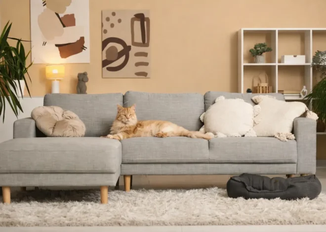5 Modern Interior Design Choices for Pet-Friendly Townhomes