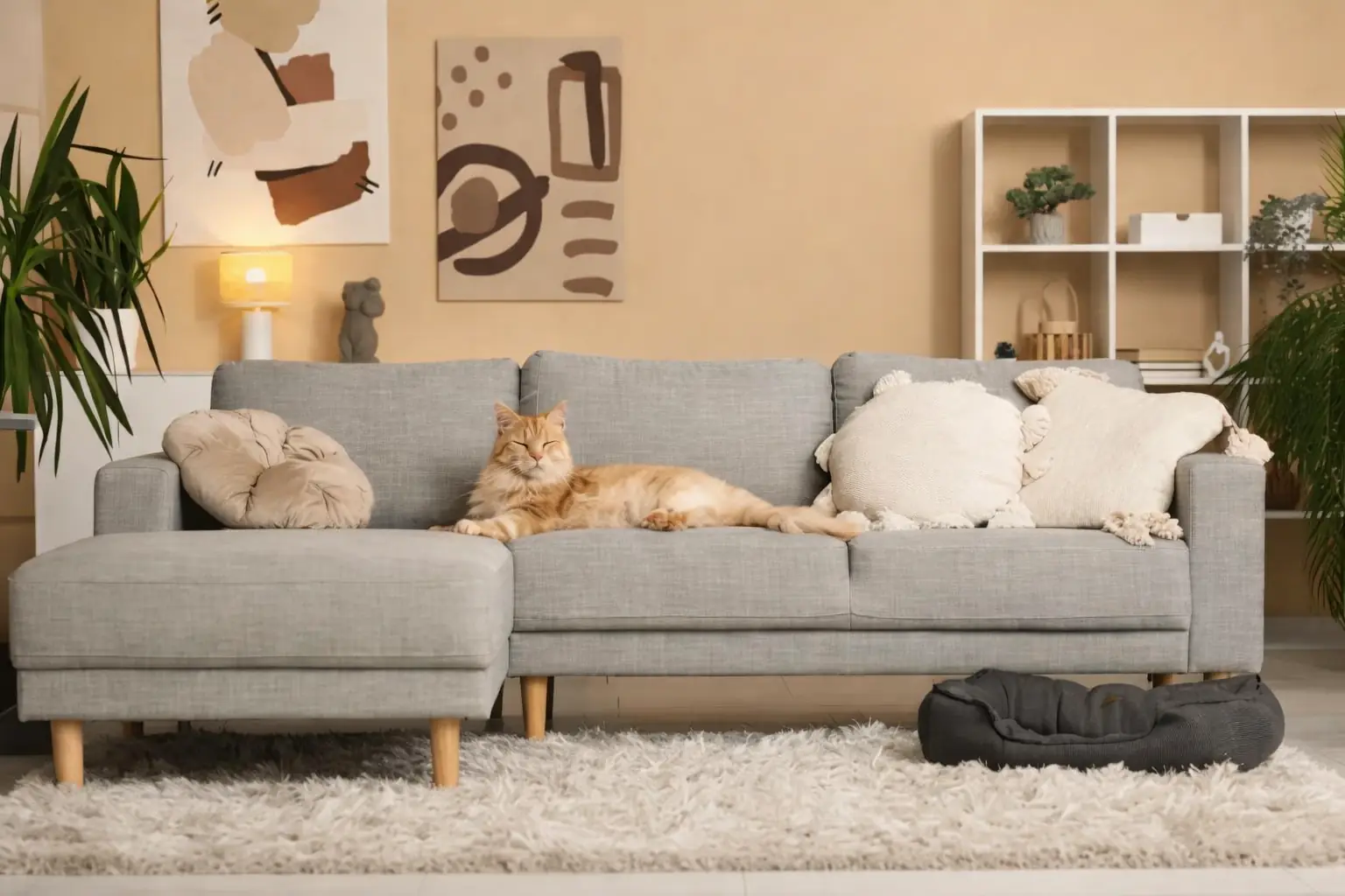 5 Modern Interior Design Choices for Pet-Friendly Townhomes